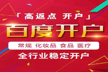 百度推广排名案例报告：某行业巨头如何运用其占领市场高地